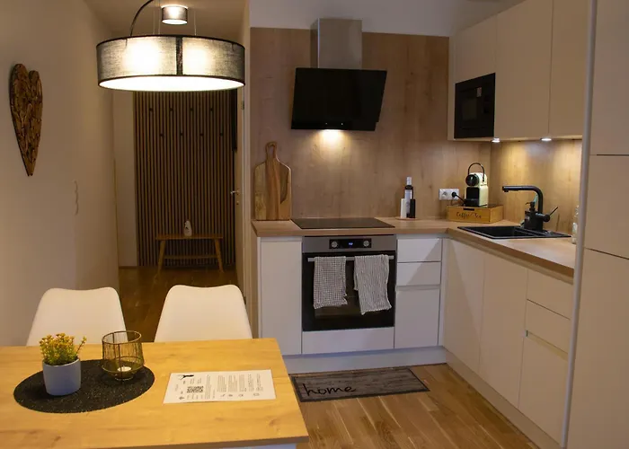 Danube Lodge, Uptown, A/c Apartment Vienna